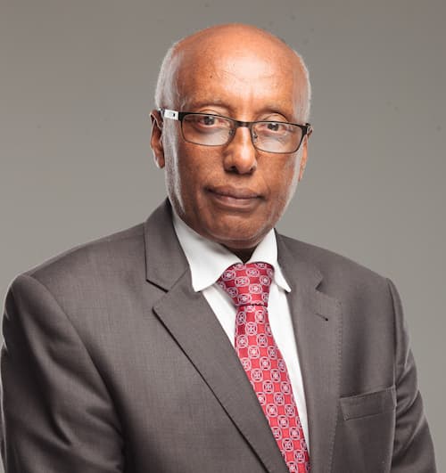 Portrait of Abegaz Berhanu Molla