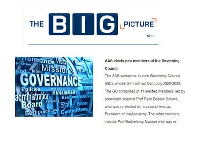 The Big Picture (July 2020 Issue)