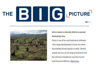 The Big Picture (August 2022 Issue)