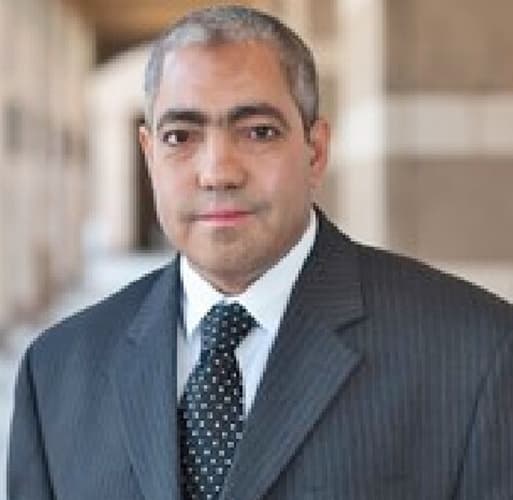 Portrait of Nageh Allam