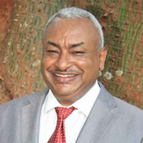 Portrait of Yenesew Abiy