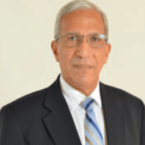 Portrait of Bahei-El-Din Yehia