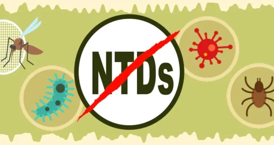 Scientific research key to tackling NTDs says leading researcher