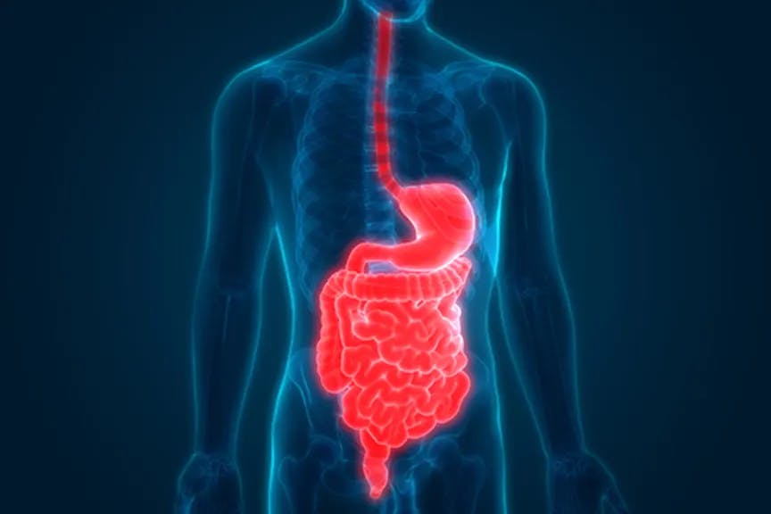 Low Detection of Digestive Tract Cancers still a Challenge