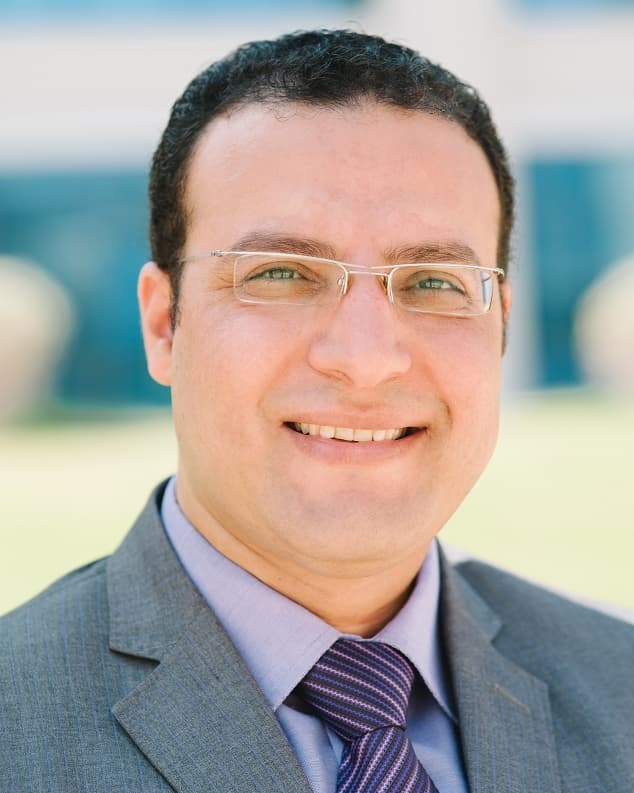 Portrait of Prof Ibrahim EL-Sherbiny