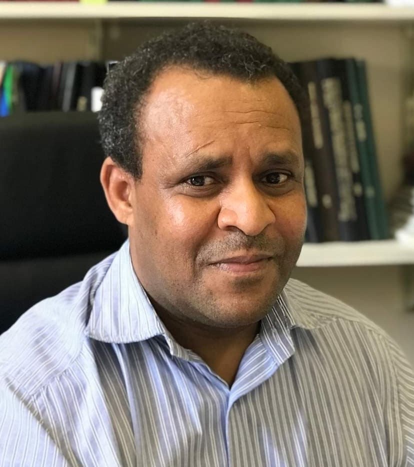 Portrait of  Prof. Shimelis Hussein