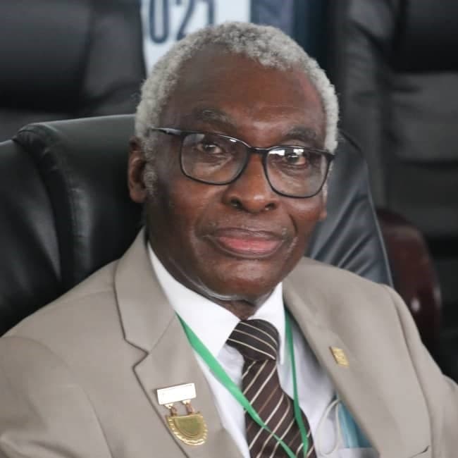 Portrait of Professor Ogugua Charles Aworh