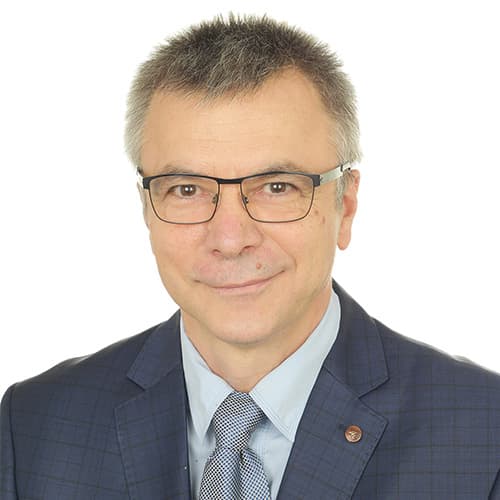 Portrait of Dumitru Baleanu