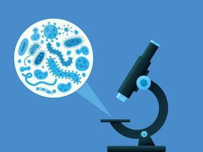 Drivers of antimicrobial resistance in East Africa