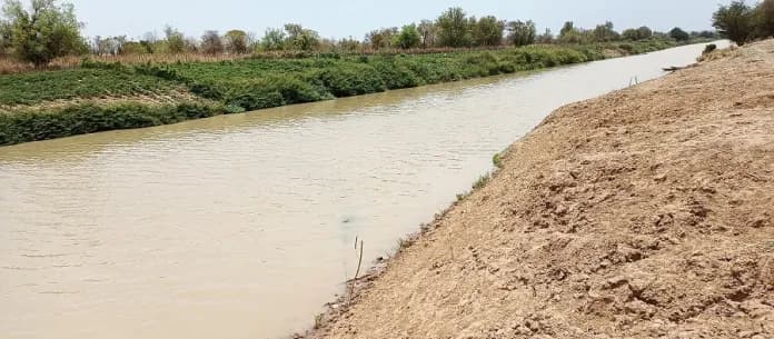 Changement climatique : Il faut restaurer les zones humides