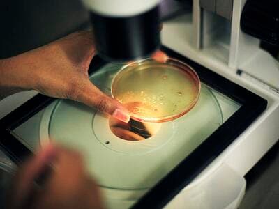 Study sheds light on what it takes for women to succeed – or not – in science in Africa