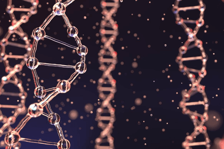Policy Paper: A Framework for the Implementation of Genomic Medicine for Public Health in Africa
