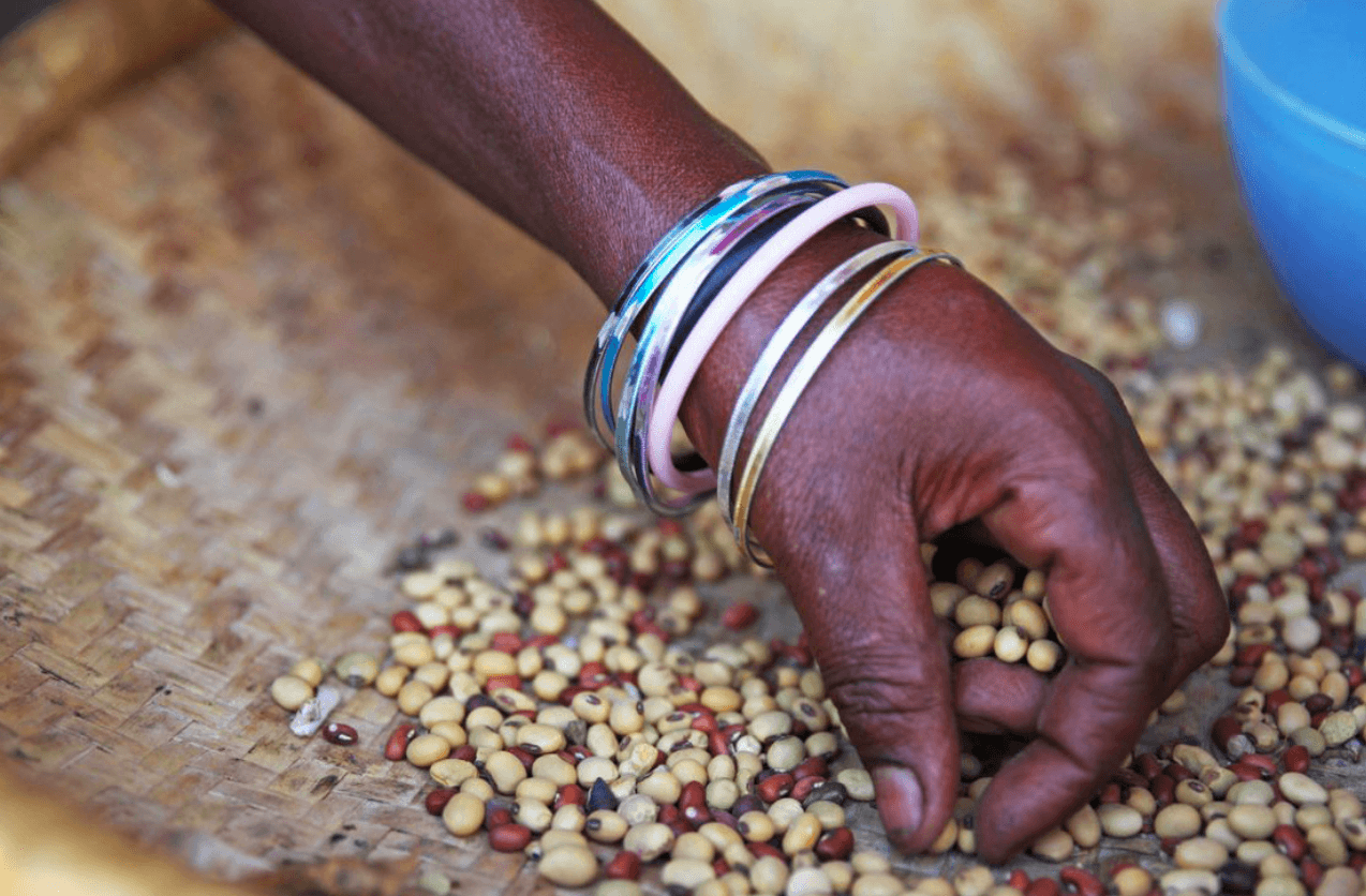 Setting Scientific Priorities for Food Security and Nutrition in Africa