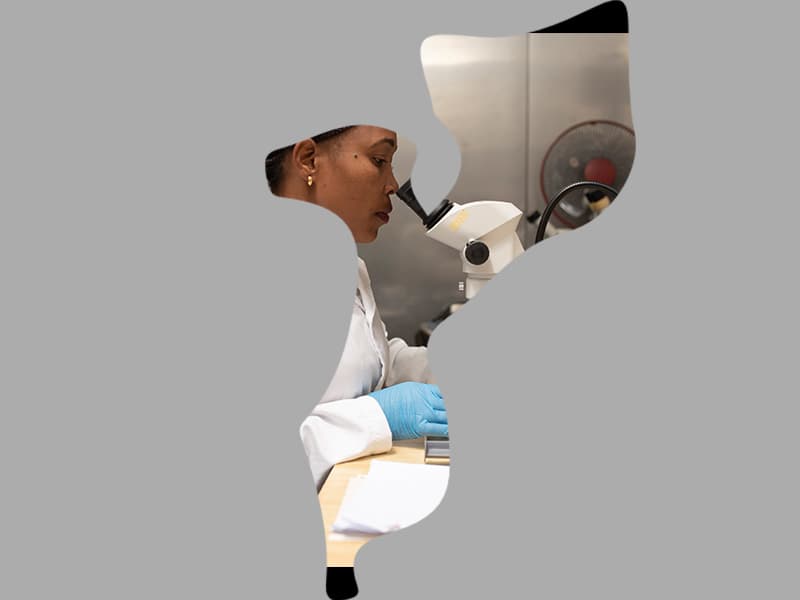 Harnessing science, technology and innovation for Mozambique’s development