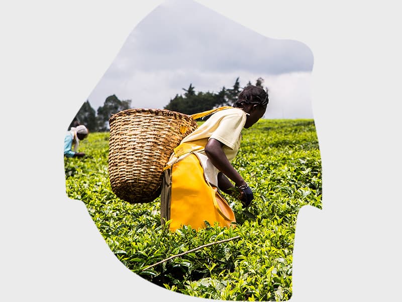 The Vision 2022 launched in 1999 outlines the Kingdom of Swaziland’s primary development goals of addressing poverty and inequality.