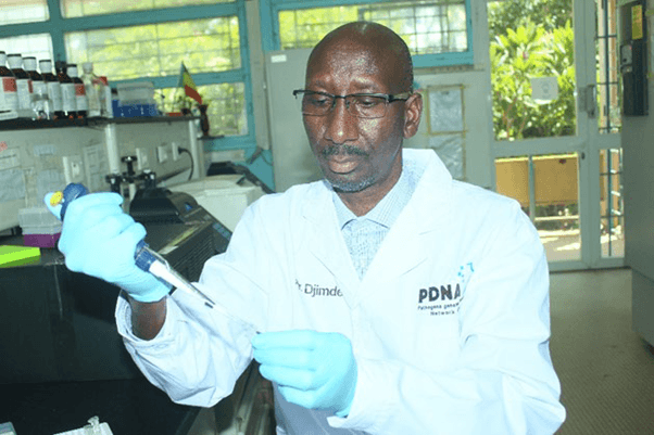 AAS Fellow Prof Abdoulaye Djimdé Awarded Prestigious Hideyo Noguchi Africa Prize