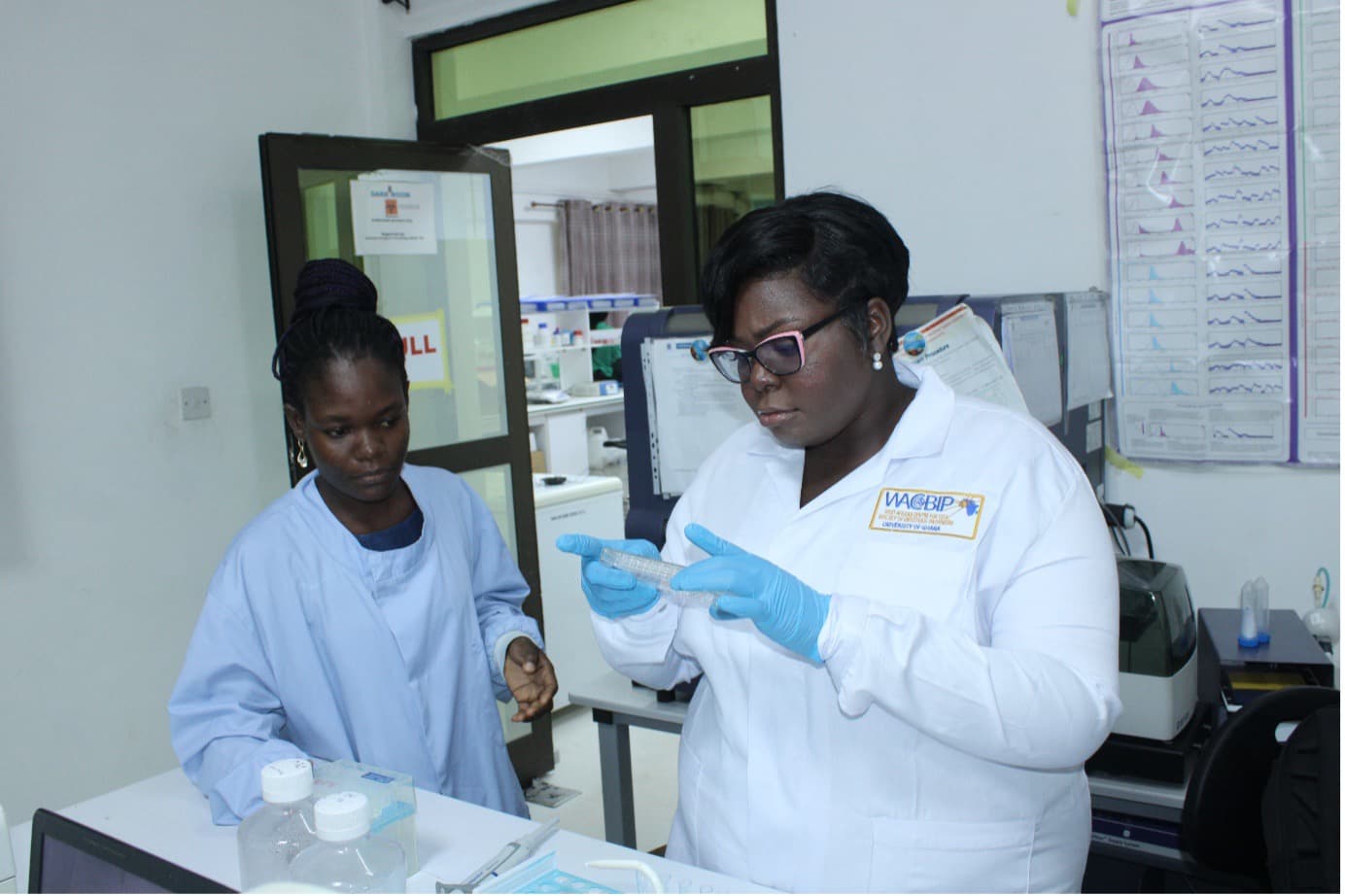 Discovering My Purpose: Evolution from Intern to the frontlines of malaria research