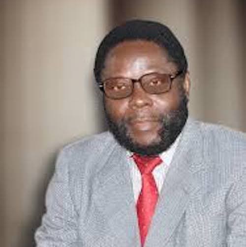 Portrait of Ekhaguere Godwin Osakpemwoya Samuel