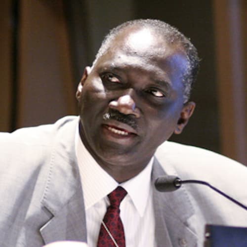 Portrait of Diop Salif E.