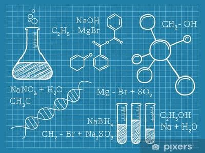 Six early career scientists selected to attend Lindau meetings